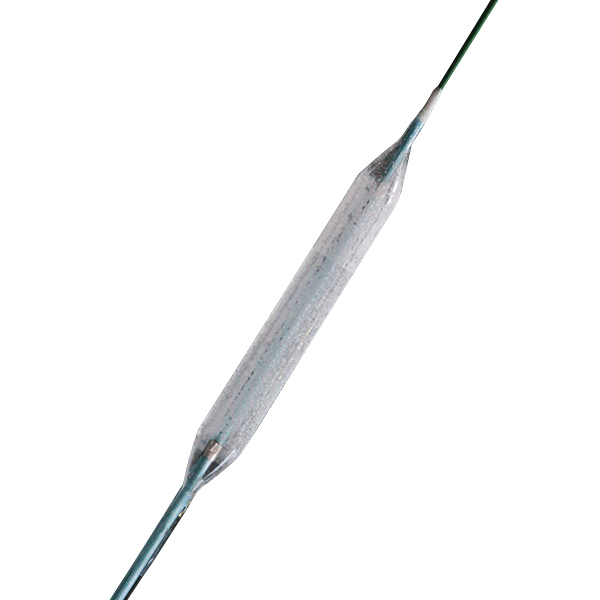 Neuro Sirolimus Coated Balloon Catheter