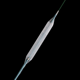 Neuro Sirolimus Coated Balloon Catheter