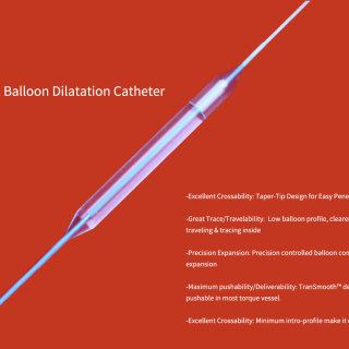 NDB® Intracranial Balloon Dilatation Catheter.