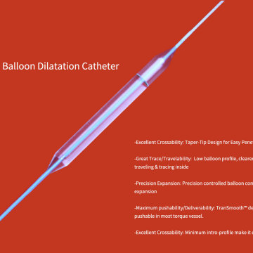 NDB® Intracranial Balloon Dilatation Catheter.