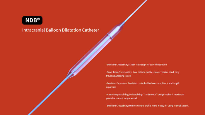 NDB® Intracranial Balloon Dilatation Catheter.