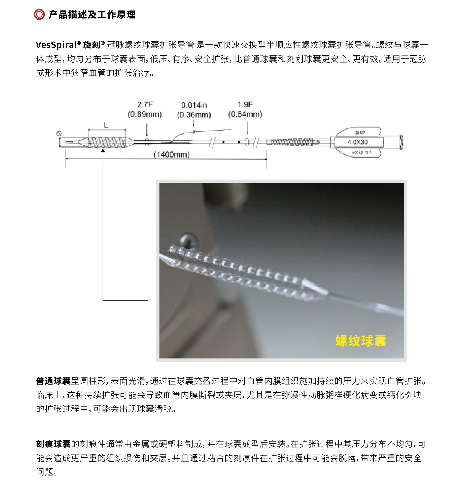 球囊