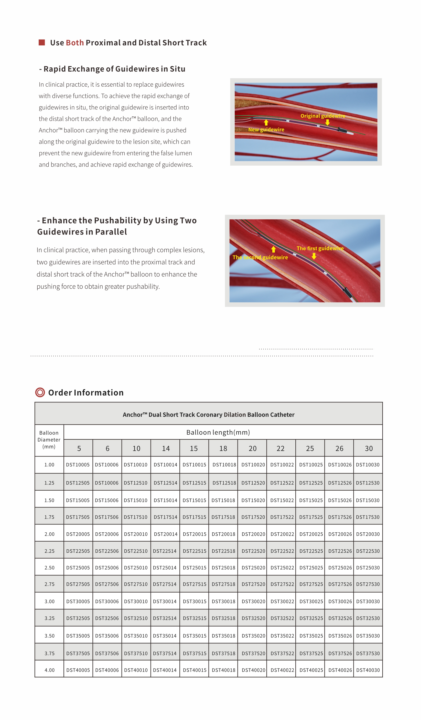 dual-short-track-coronary-dilatation-balloon-catheter dual-short-track-coronary-dilatation-balloon-catheter