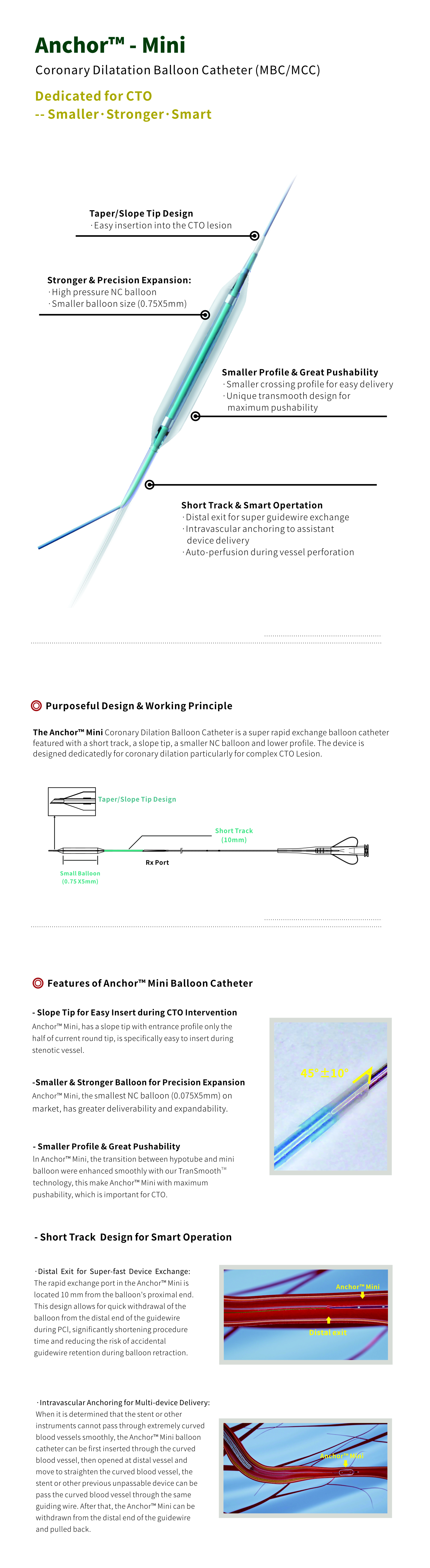 CTO PTCA Balloon Catheter CTO PTCA Balloon Catheter