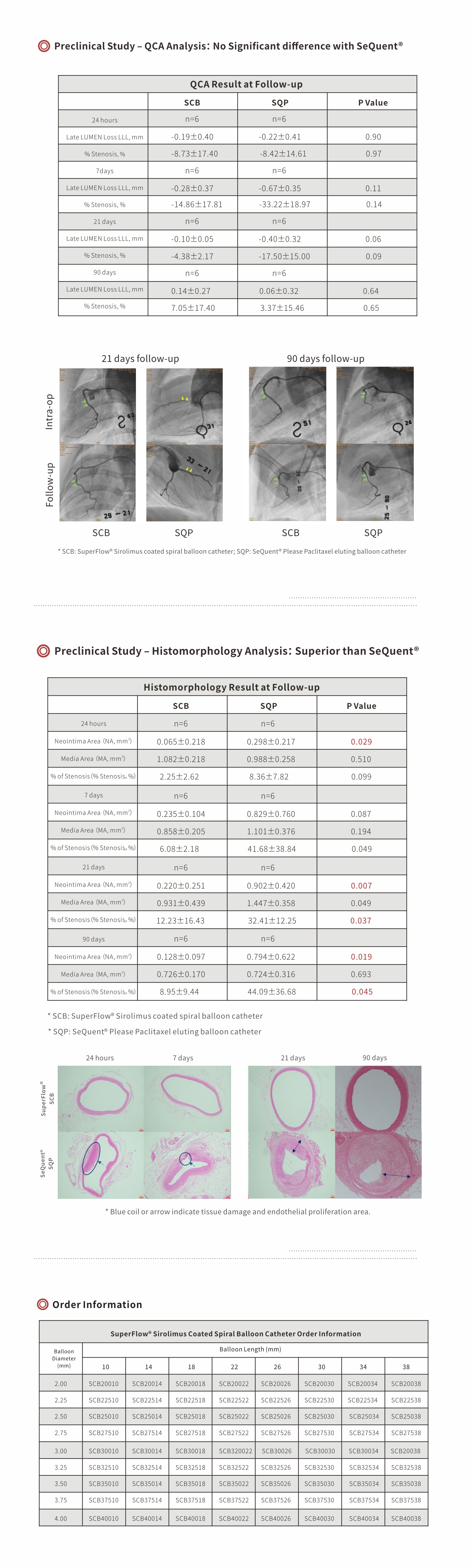 Drug Coated balloon Drug Coated balloon