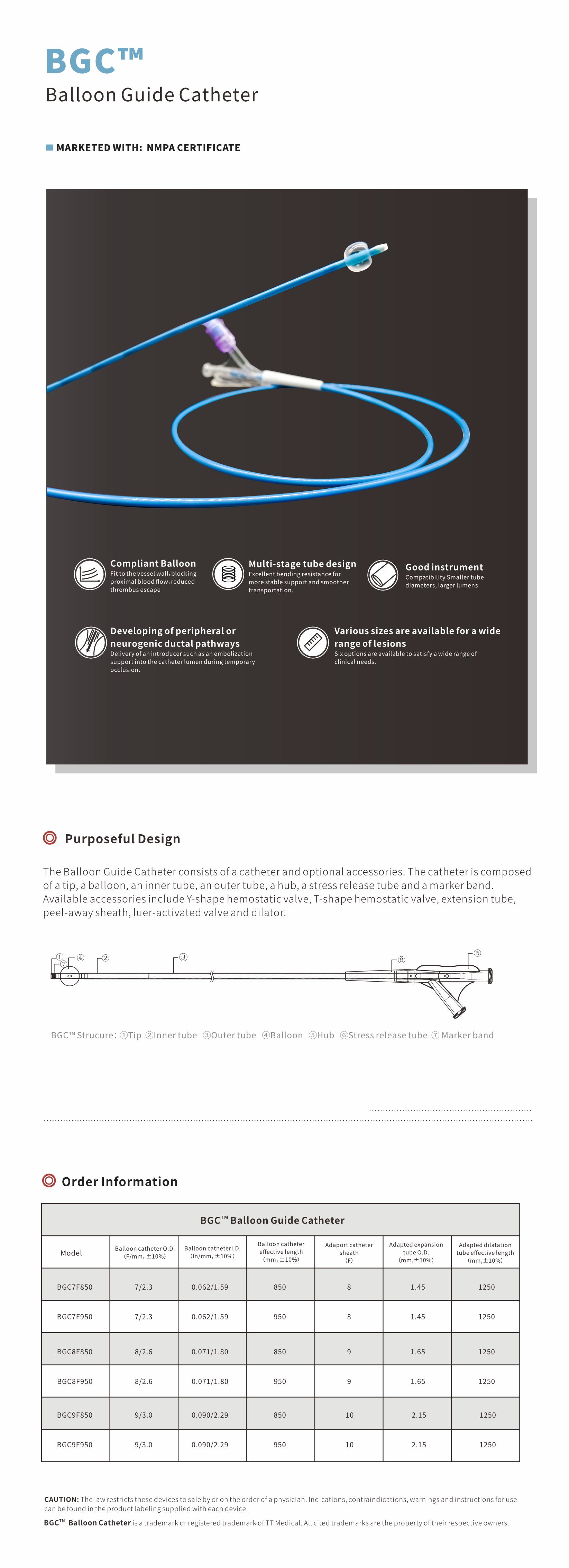 Balloon Guide Catheter Balloon Guide Catheter