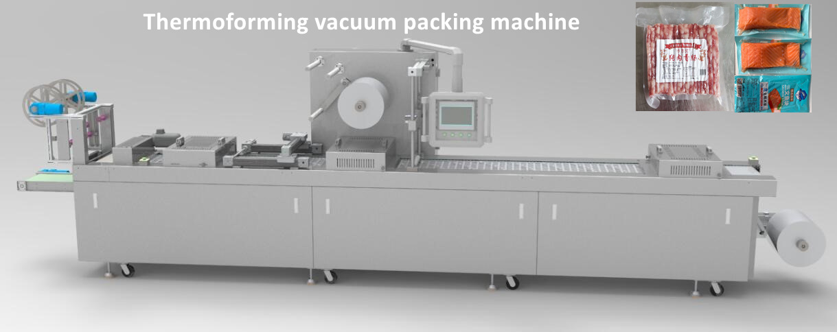 thermoforming xúc xích máy đóng gói chân không