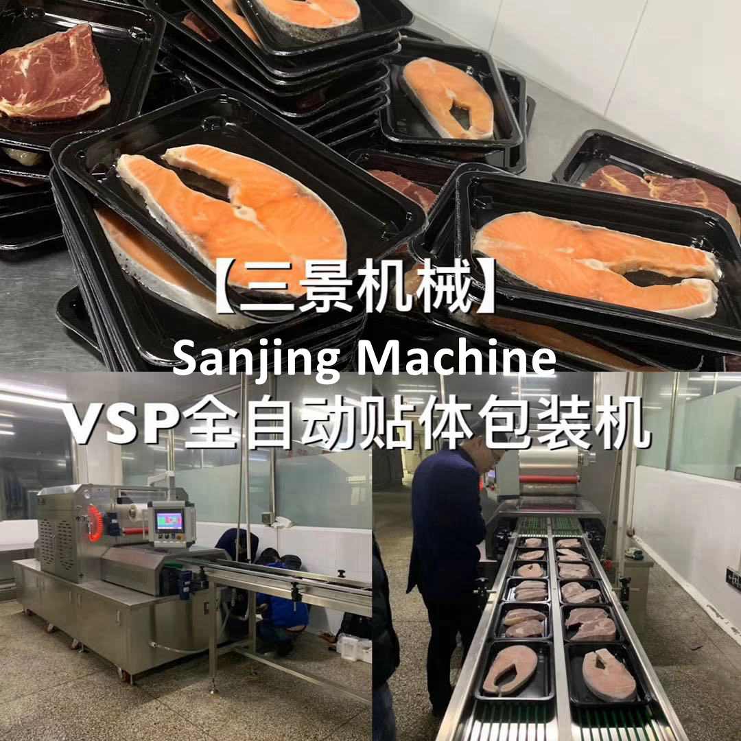 fish fillet vacuum skin packing machine