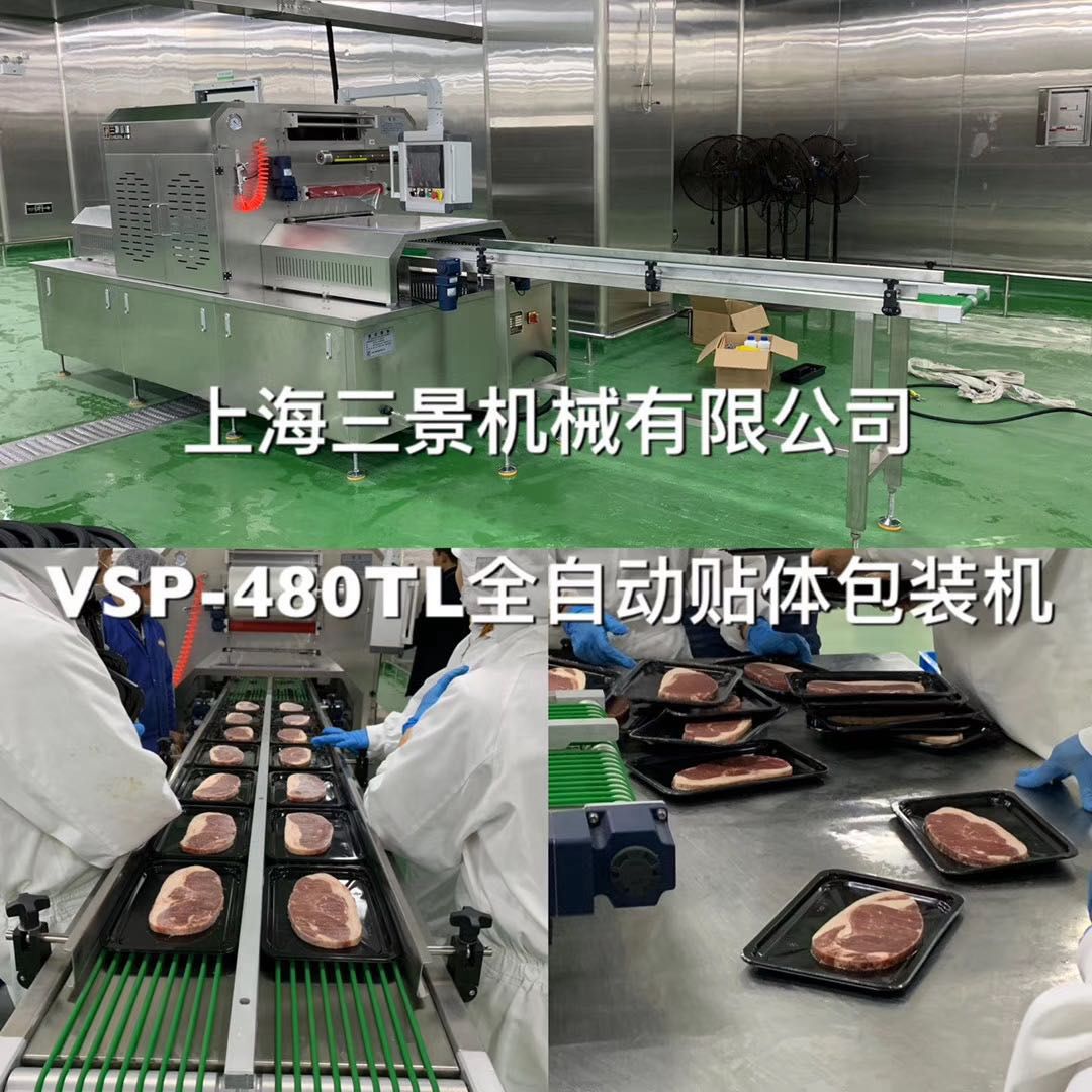 continuous vacuum skin packer