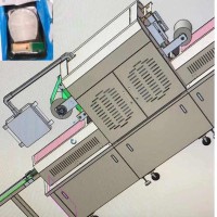 Máquina de envasado al vacío de salmón en rodajas
