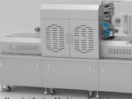 Máquina de envasado al vacío de salmón en rodajas