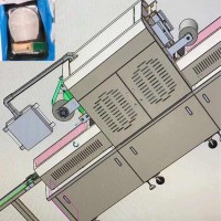 Máquina de envasado al vacío de bacalao en rodajas