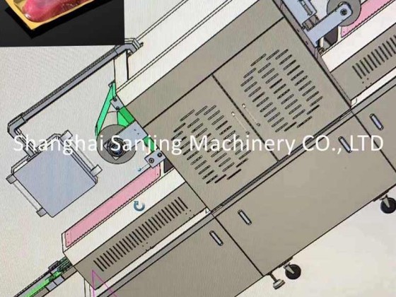 Envasadora Automática de Carne al Vacío