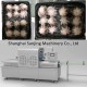Octopus Vacuum skin Packaging Machinery