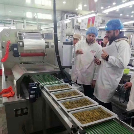 En atmósfera modificada de vacío Máquina de embalaje para Grecia Cliente