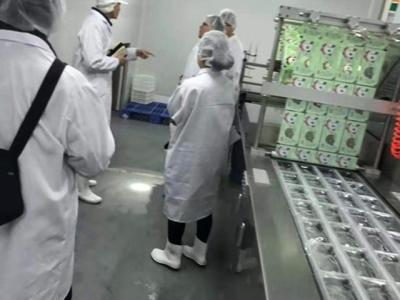 Termoformadores automáticos