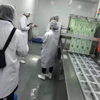 Termoformadores automáticos