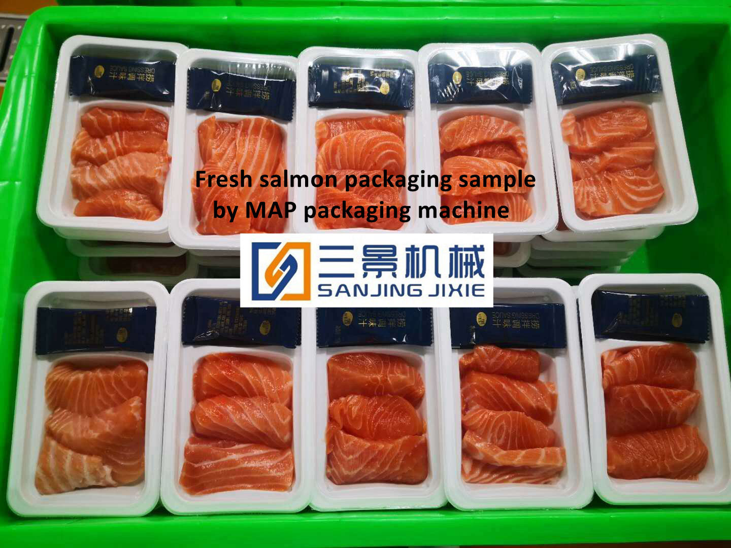 equipamento de embalagem de atmosfera modificada salmão cortado