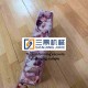 Rigid film Thermoforming Packaging Machines
