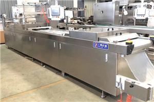 thermoforming vacuum packaging machine for steak