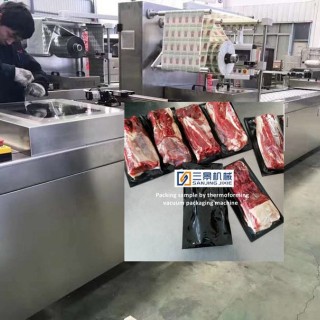 소프트 필름 열 성형 진공 포장 기계