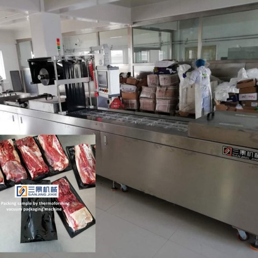 Termoformado al vacío de la máquina de embalaje para la carne de vacuno
