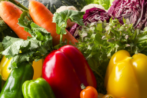 Aplicación de envases de atmósfera modificada 4