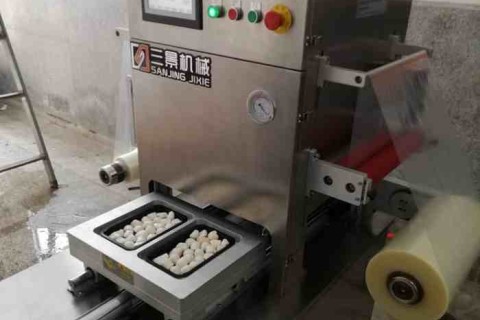 Máquina automática de envasado al vacío de piel Shanghai Sanjing