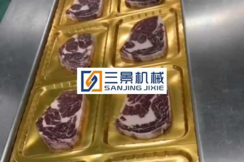 termoformadoras de envasado de piel al vacío