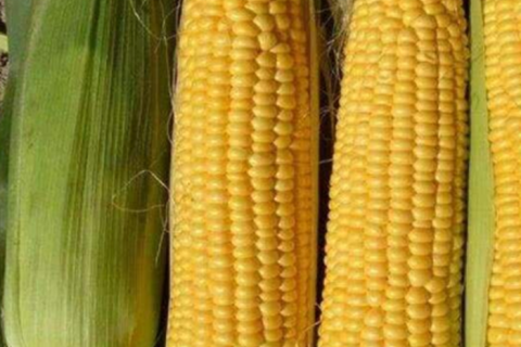 Consejos útiles para nuestra vida diaria-2