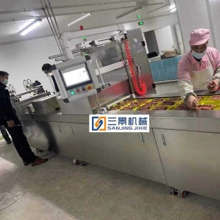 경질 필름 열 성형 진공 포장기