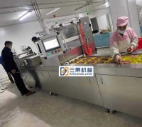 Máquina de envasado al vacío termoformado de película rígida