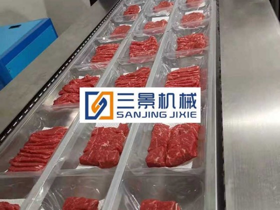 Máquina de envasado al vacío de alimentos