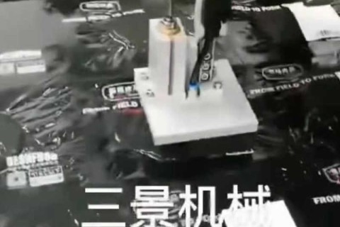 La máquina de envasado al vacío de termoformado trabaja junto con la máquina de etiquetado