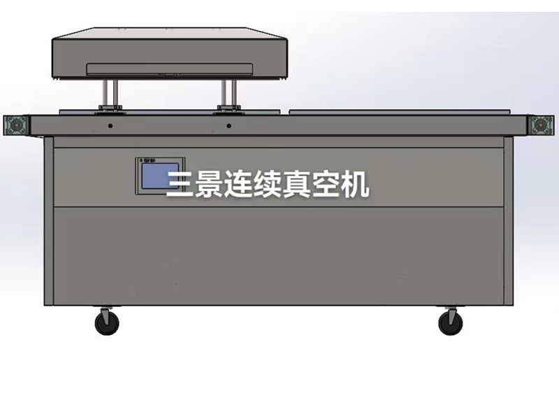 envasadora al vacio de camara continua