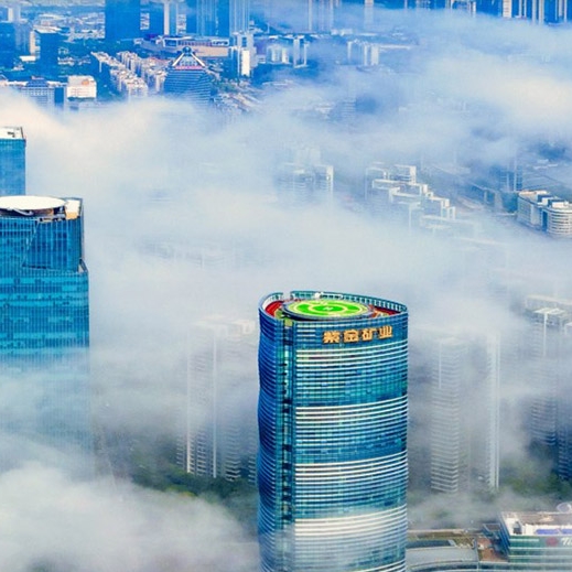 Zijin Mining Group Co., Ltd.