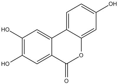 Um Urolithin (3