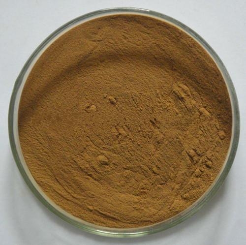 Semen Cassiae Extract powder