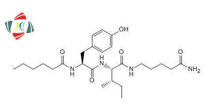 Dihexa-Wuhan HHD peptide nootropics dihexa