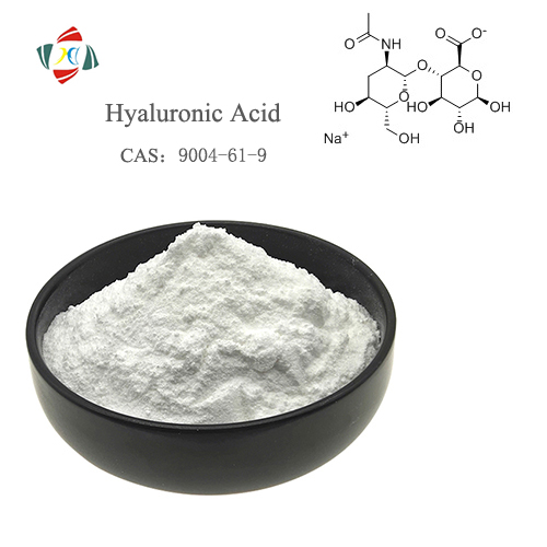 Acide hyaluronique d'approvisionnement en usine CAS 9004-61-9