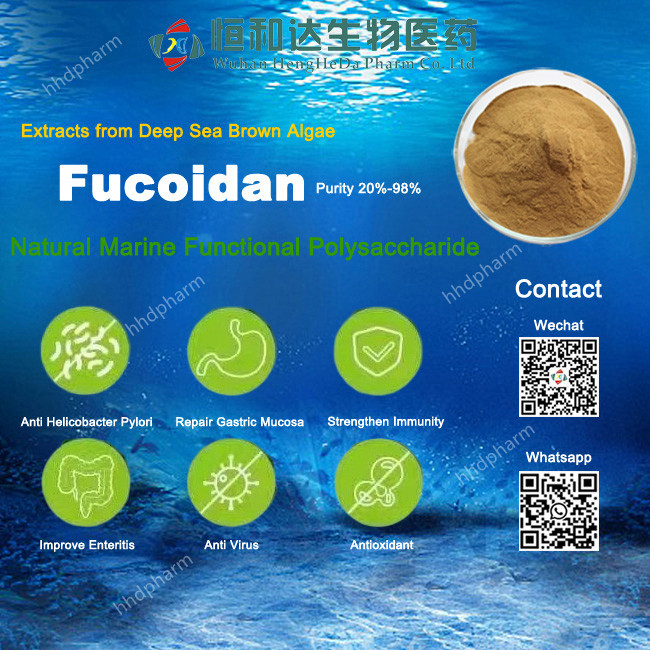 Natural Fucoidan powders CAS 9072-19-9