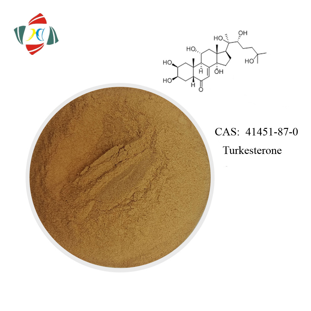 CAS 41451-87-0 Turkestanica-Extrakt Turkesterone-Pulver 2% 40% 98%