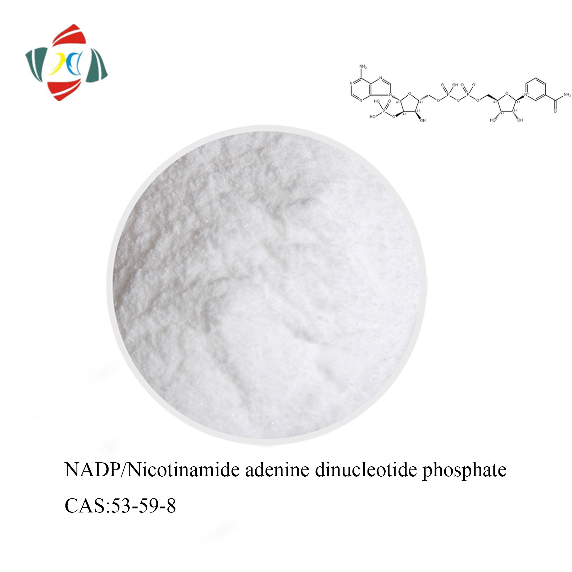 Beta-Nicotinamida Adenina Dinucleotídeo Fosfato/NADP CAS 53-59-8