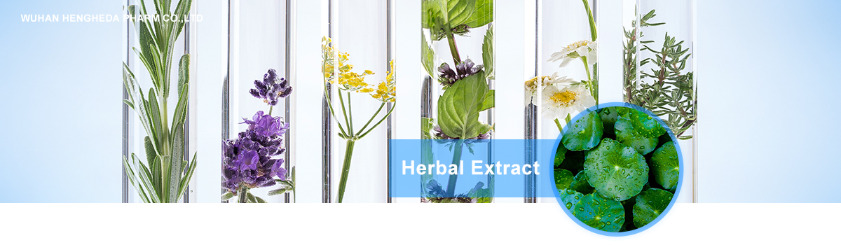 Wuhan HHD Sophora japonica extract Kaempferol CAS: 520-18-3