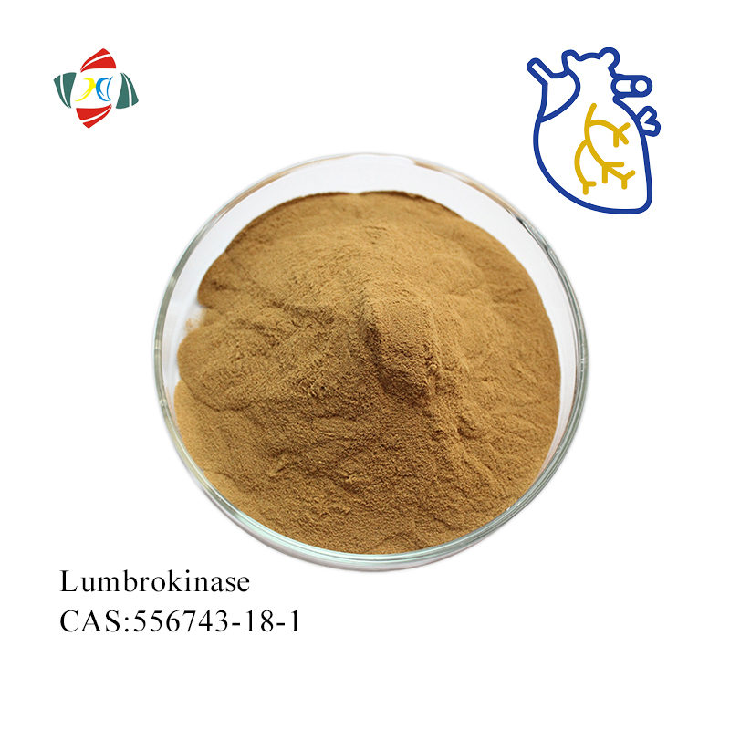 GMP fabrica suplementos de enzimas Lumbrokinase extraídos de minhocas