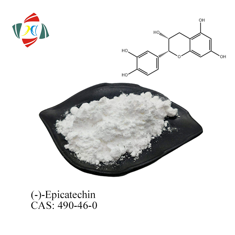 L-Epicatechin CAS 490-46-0