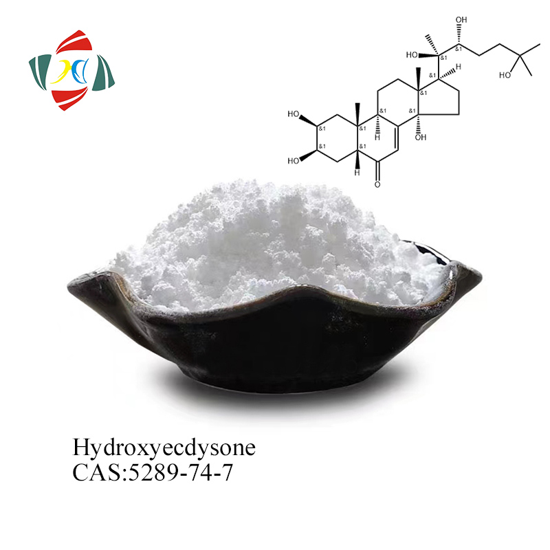 Hydroxyecdysone CAS 5289-74-7