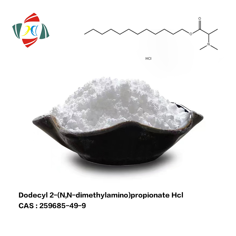 Dodecyl 2-(N,N-dimethylamino)propionate hydrochloride CAS:259685-49-9