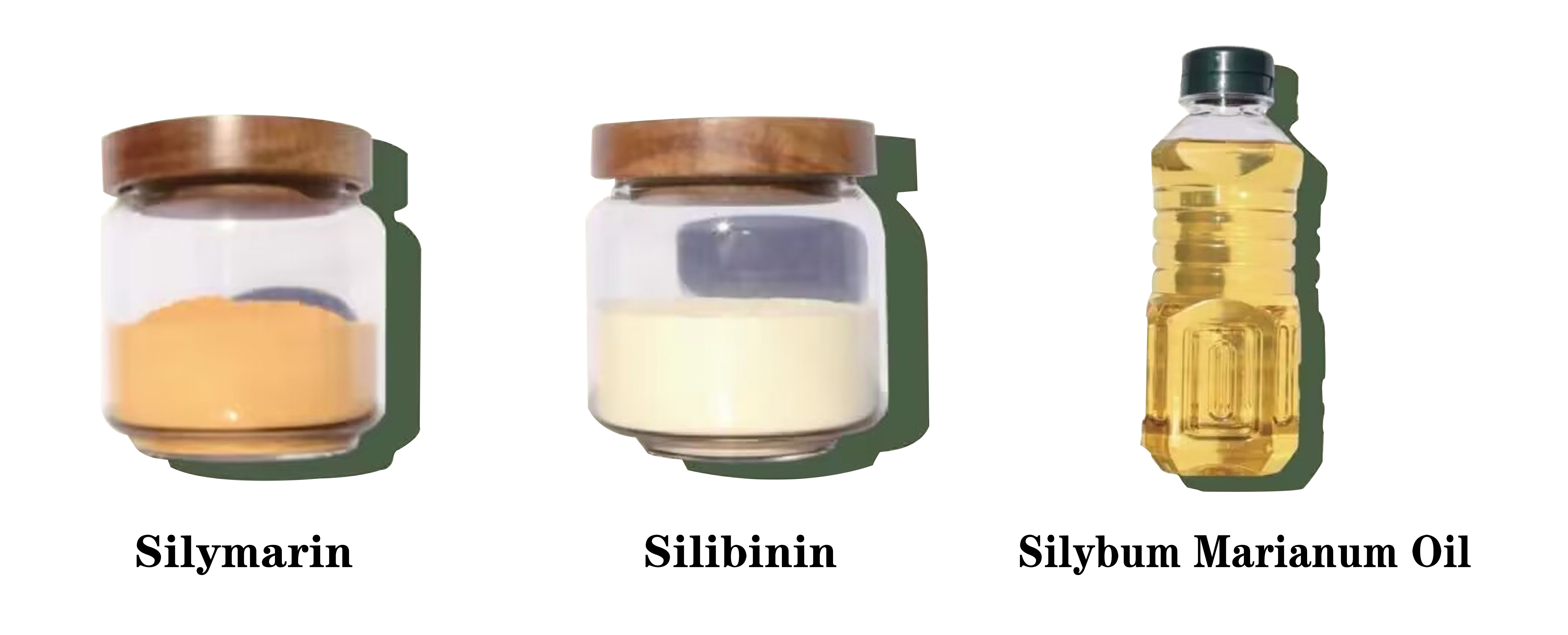 organic Milk thistle extract Silymarin