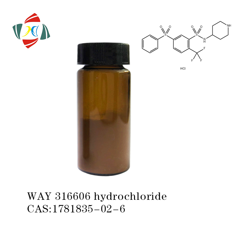 WAY 316606 hydrochloride | sFRP-1 Inhibitor CAS 1781835-02-6